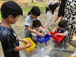 DIY手洗愛玉四人一份